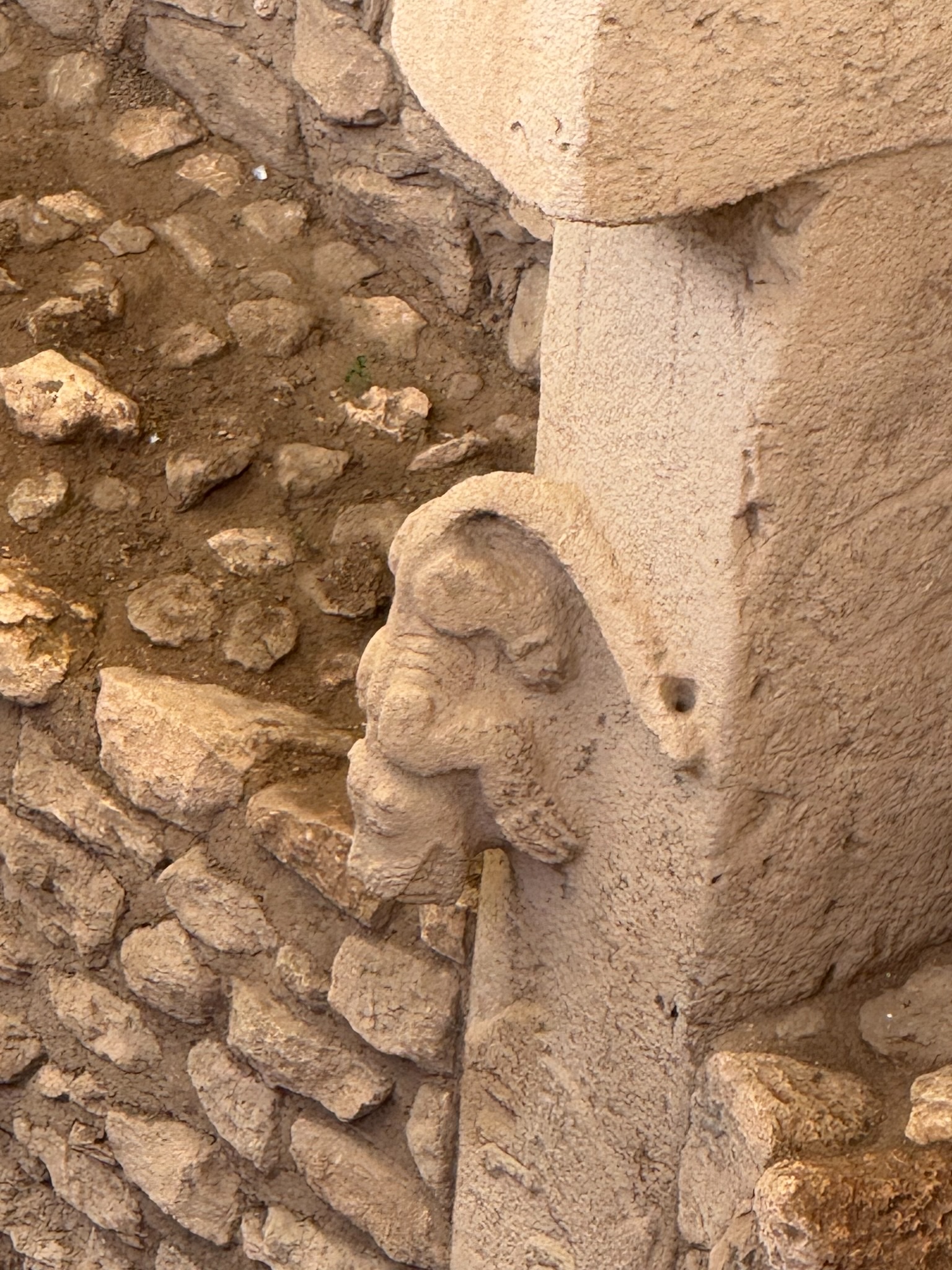 Close-up of the predator from the side, showing depth of relief