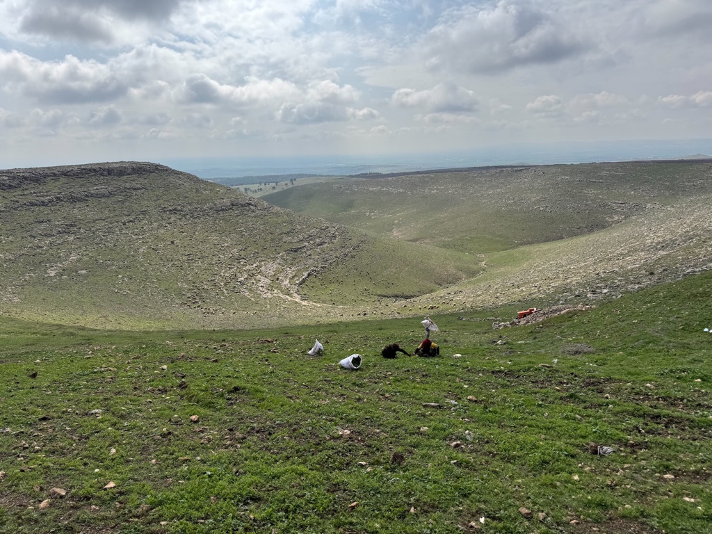 The Harran Plain from the slopes above Göbekli Tepe